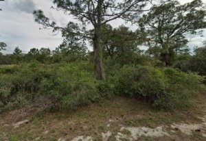 Florida buildable land near Lake Placid, Highlands County, internet service available - photo 12