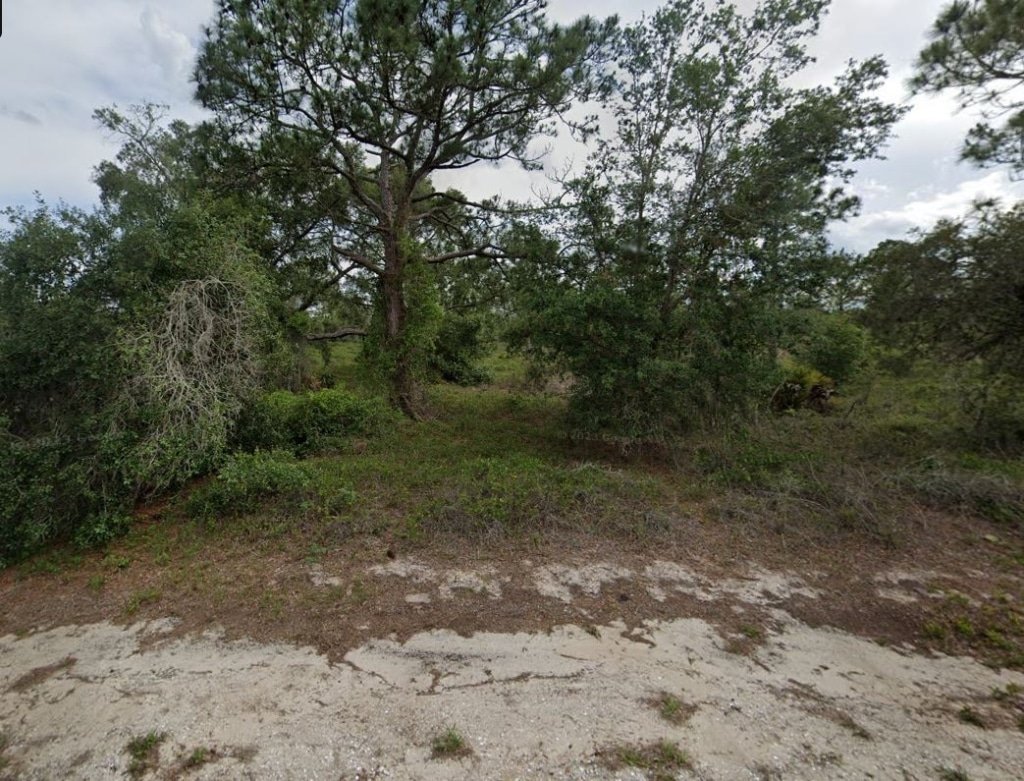 Owner-financed land listing Highlands County Florida, 0.23 acres with road access - photo 13
