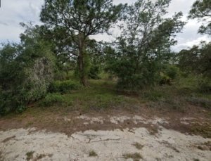 Owner-financed land listing Highlands County Florida, 0.23 acres with road access - photo 13
