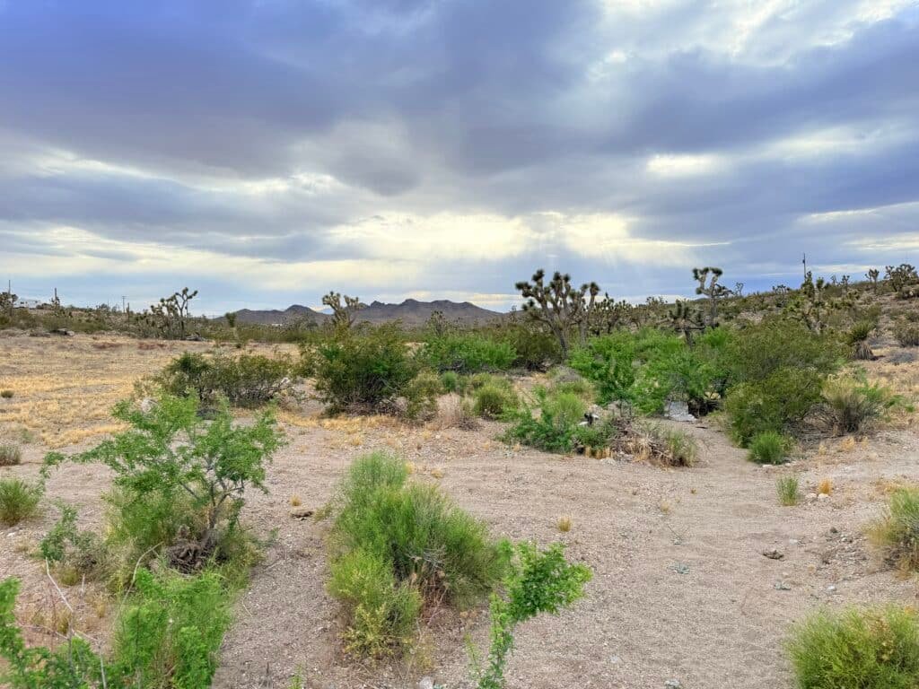 Private ATV basecamp land near Dolan Springs, Arizona - 1.06 acres buildable
