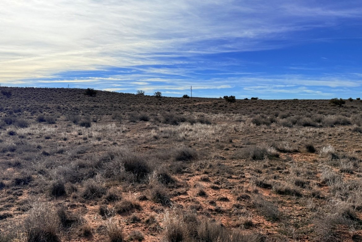 Peaceful Land to Grow Your Own Crops | Only $149 Down!