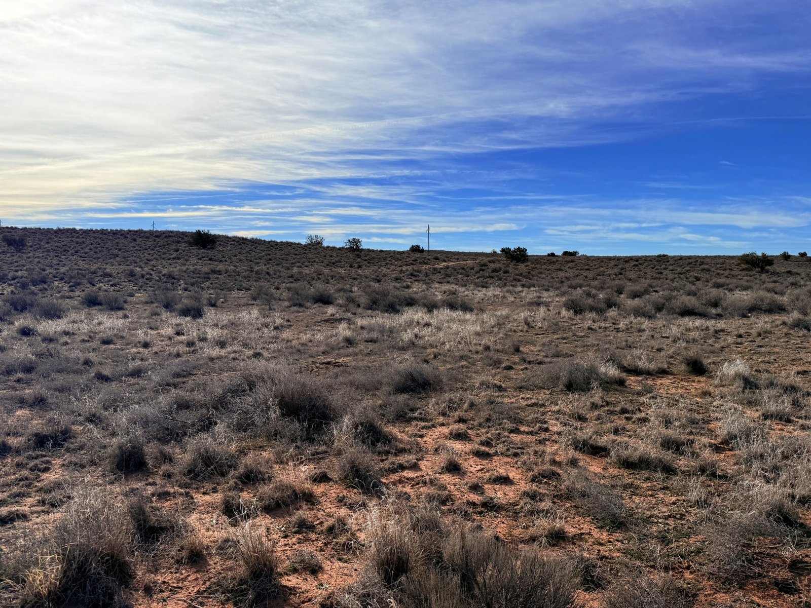 Peaceful Land to Grow Your Own Crops | Only $149 Down!