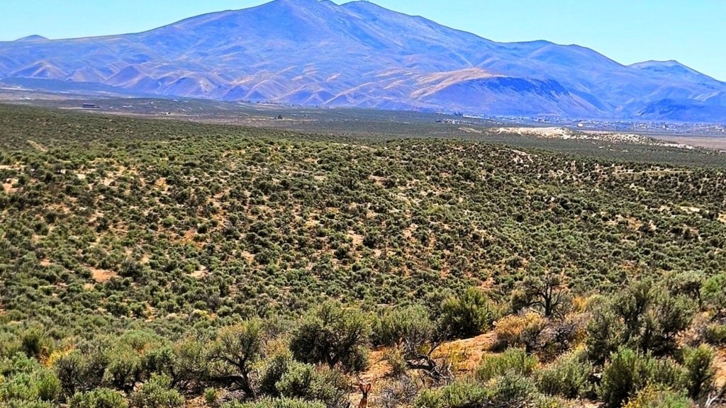 1.13 acre land with fertile and rocky soil near I-80 - photo 7