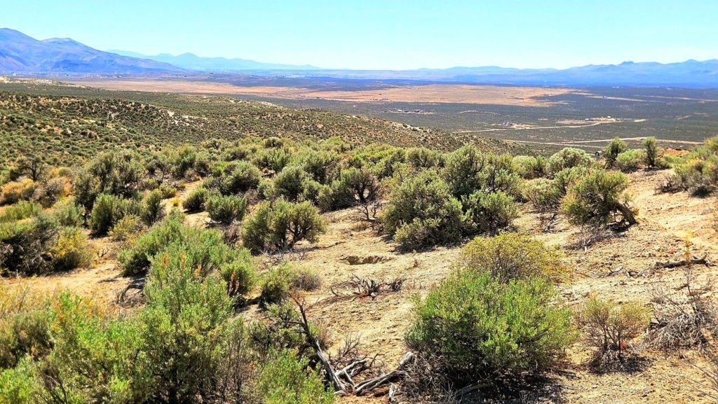 Flat terrain land listing in Elko, Nevada with mountain views - photo 3