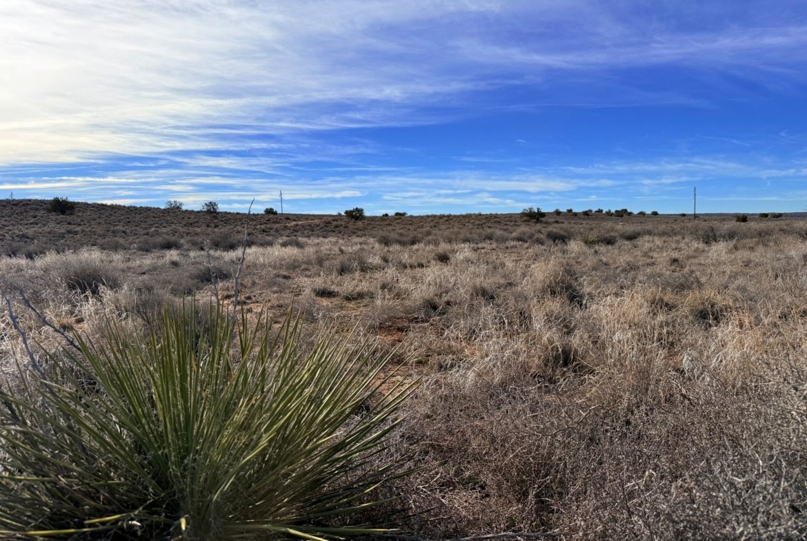 Peaceful Land to Grow Your Own Crops | Only $149 Down!