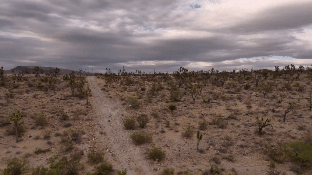 Mountainous open land listing in Dolan Springs area, Mohave County, Arizona - photo 3