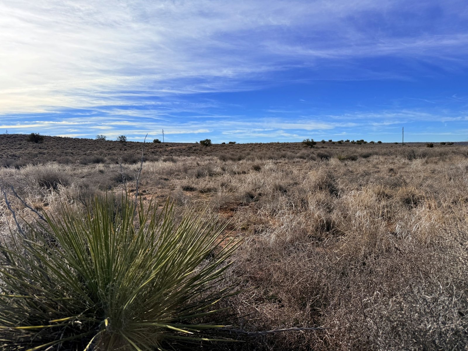 Peaceful Land to Grow Your Own Crops | Only $149 Down!