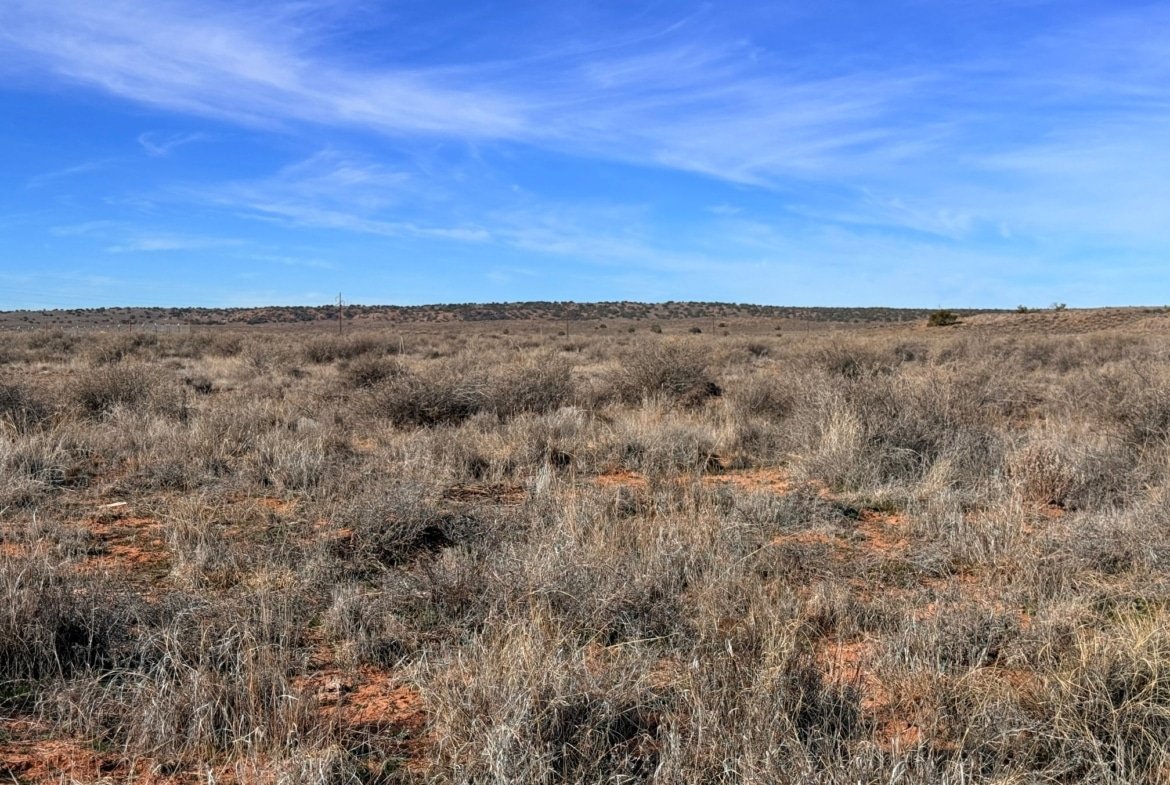 Peaceful Land to Grow Your Own Crops | Only $149 Down!