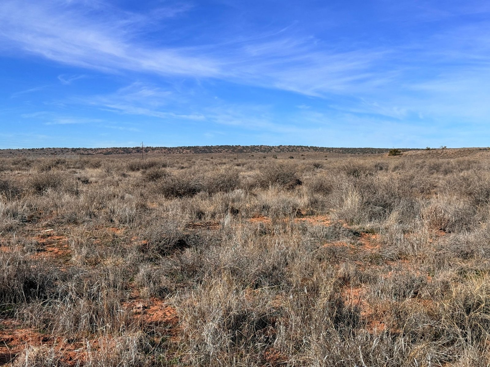 Peaceful Land to Grow Your Own Crops | Only $149 Down!