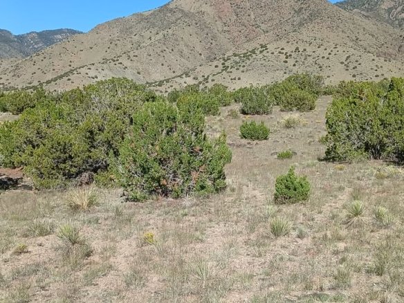 5 Acres of Land for Sale in Valencia County, New Mexico offering a variety of recreational activities, from hiking and camping to birdwatching.