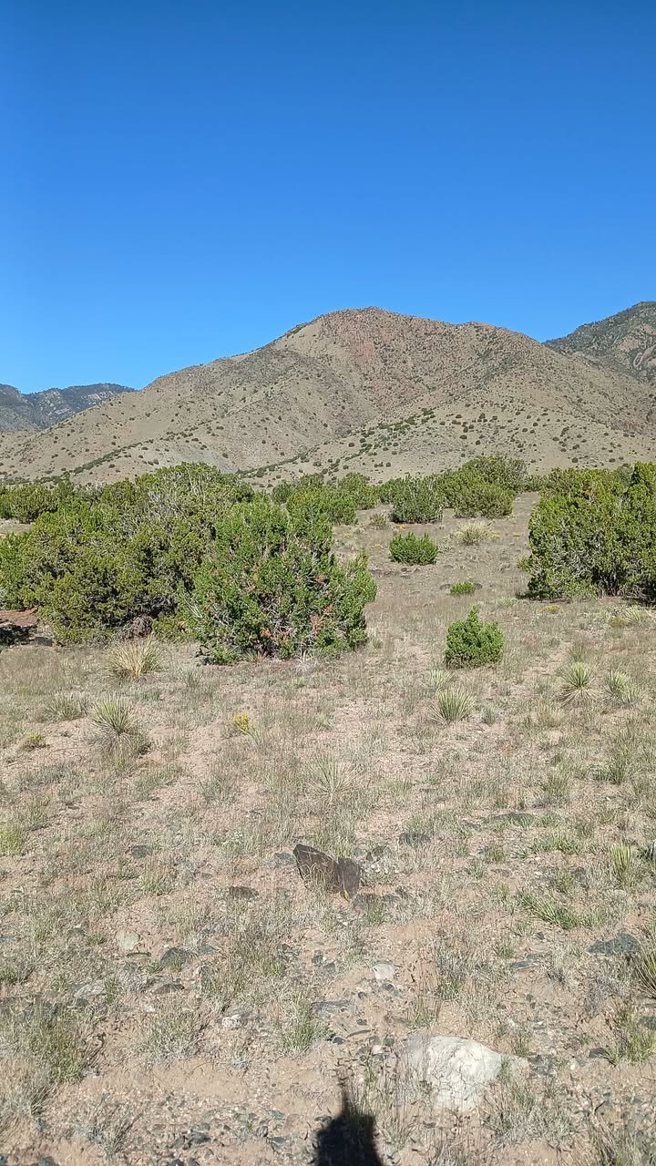 5 Acres of Land for Sale in Valencia County, New Mexico offering a variety of recreational activities, from hiking and camping to birdwatching.