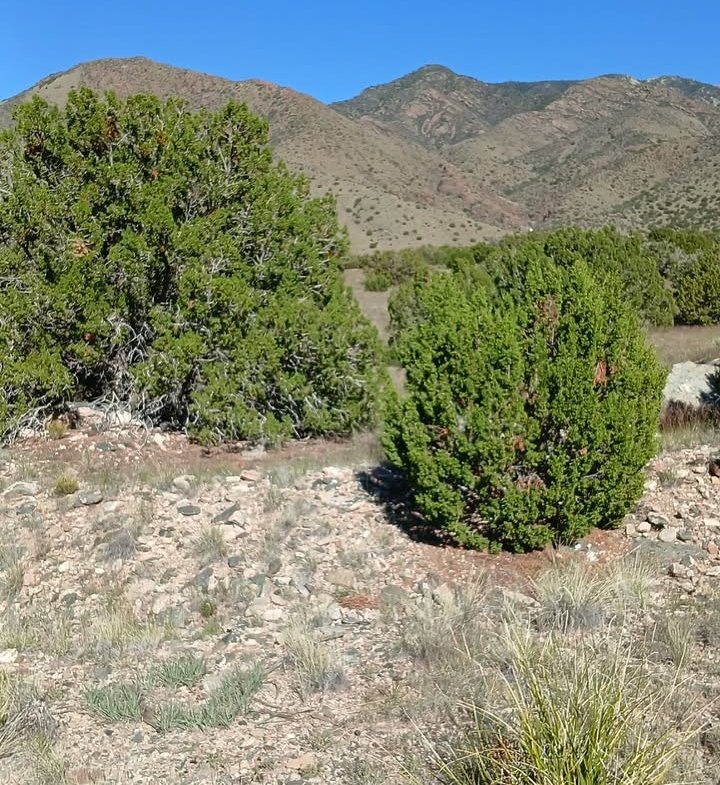 5 Acres of Land for Sale in Valencia County, New Mexico Near Manzano Peaks