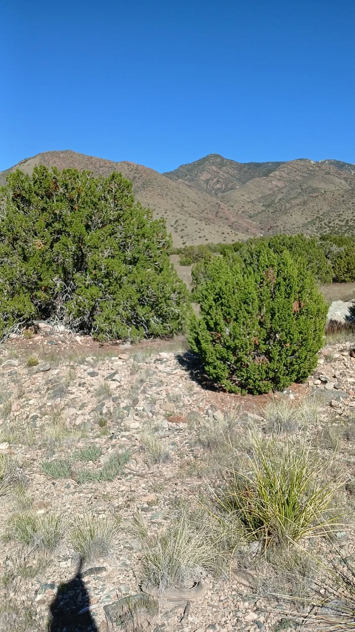 5 Acres of Land for Sale in Valencia County, New Mexico Near Manzano Peaks