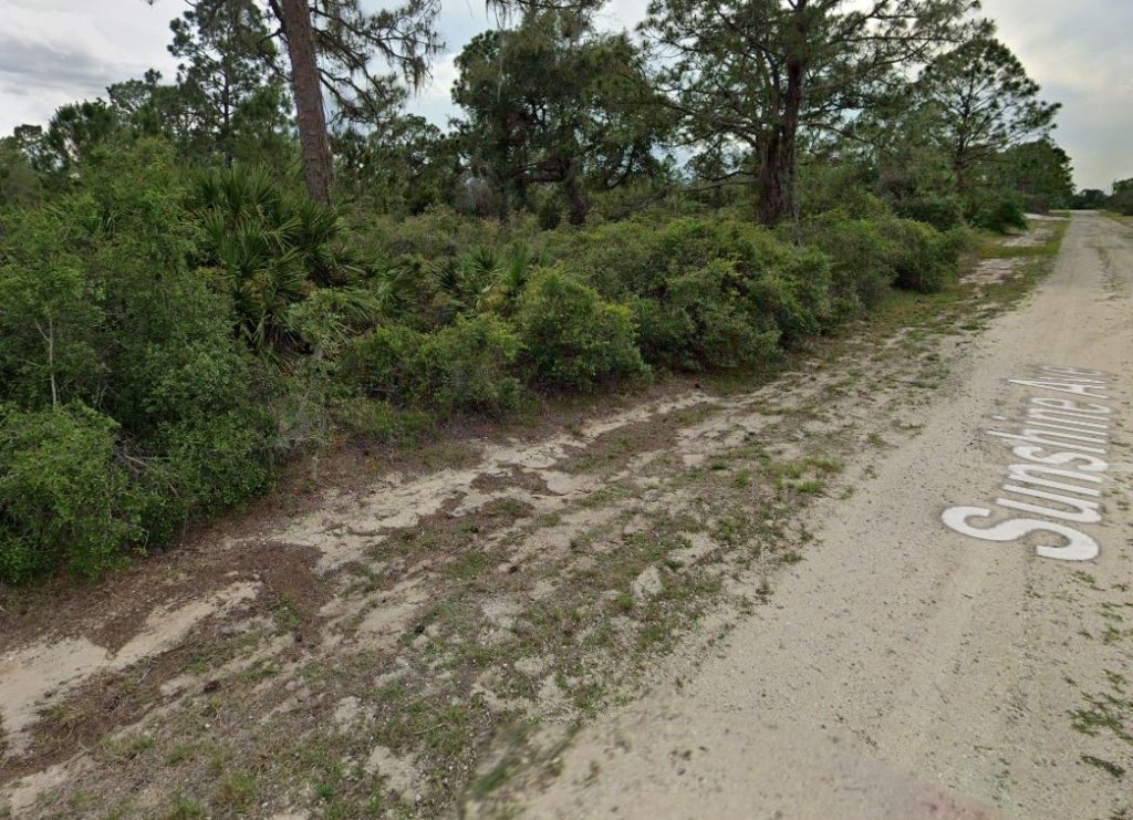 Owner-financed land in Florida, Highlands County, flat buildable lot - photo 7