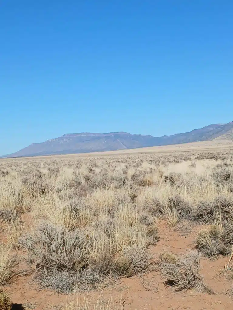 14.4 Acre of Land For Sale Near Belen, New Mexico with Adjacent Lot Available