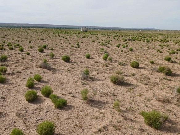 1 Full Acre of New Mexico Land for Sale and accessible via a dirt road with solid legal access, the property maintains a sense of discovery-slightly tucked away, offering just enough separation to feel like your own private world