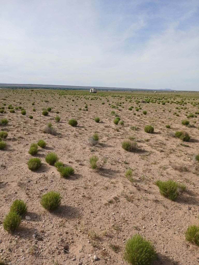 1 Full Acre of New Mexico Land for Sale | This Is What Freedom Looks Like