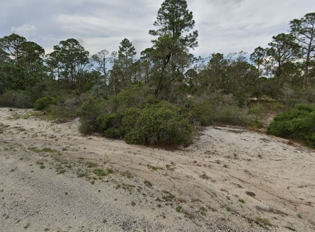 0.23 acre property near Lake Placid with road frontage and utilities available - photo 8