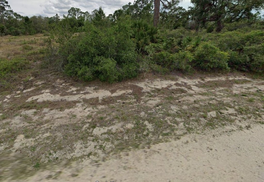 Highlands County Florida land, buildable lot with cell service, $16,500 cash price - photo 9