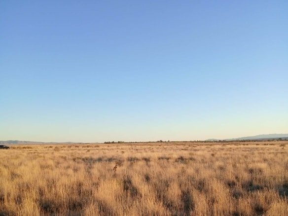 0.42 Acre Land for Sale where the air feels lighter, the sky stretches endlessly, and the world seems to slow to your pace