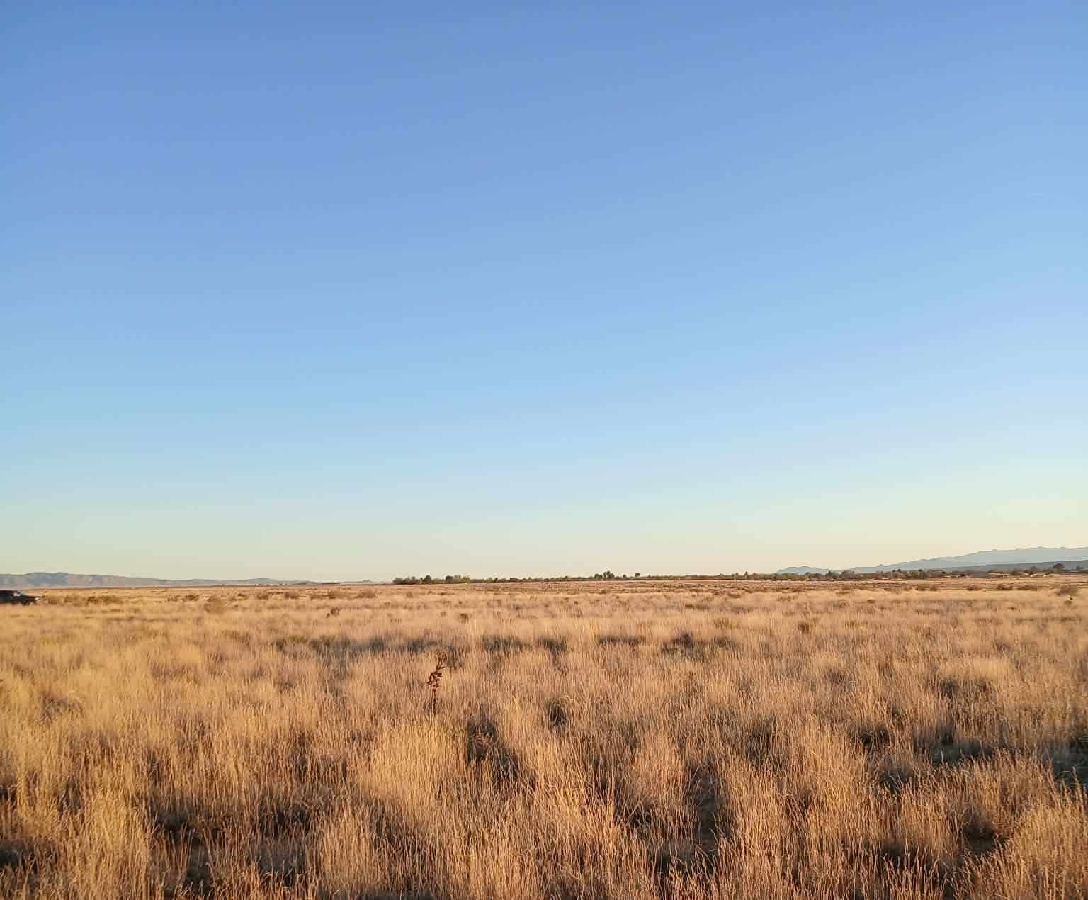 0.42 Acre Land for Sale where the air feels lighter, the sky stretches endlessly, and the world seems to slow to your pace