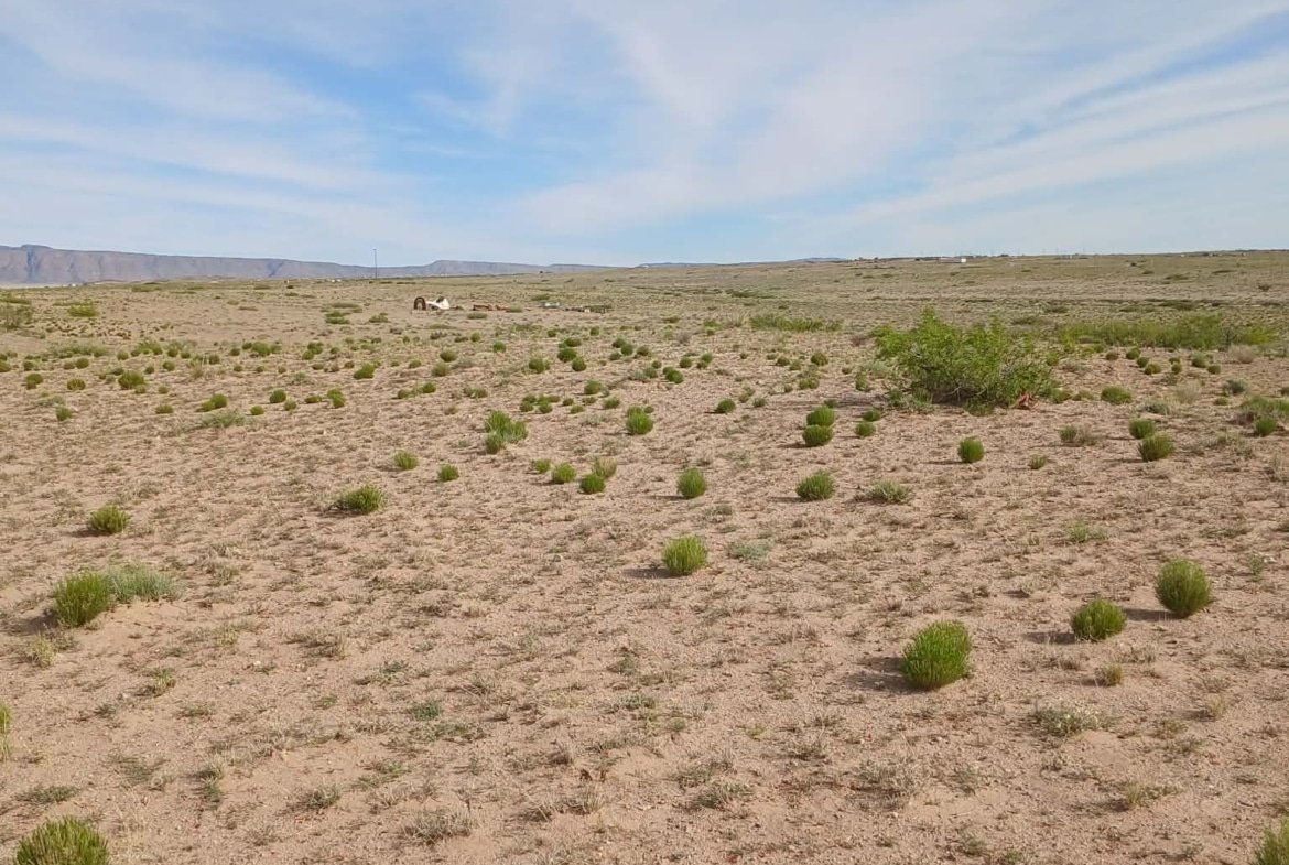 1 Full Acre of New Mexico Land for Sale | This Is What Freedom Looks Like