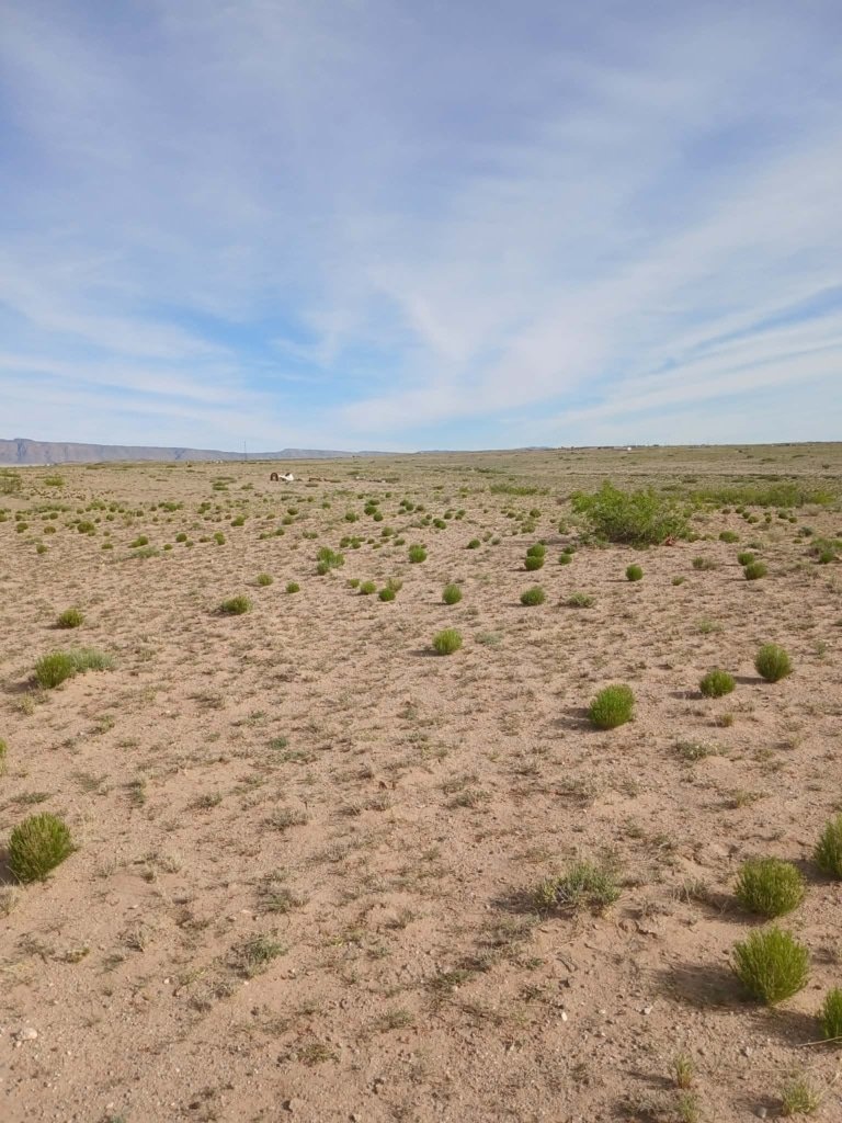1-acre flat terrain land in Socorro County, New Mexico - photo 3