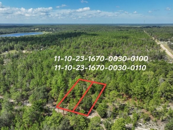 Land for Sale in North Florida the perfect place for a primary home, a getaway, or somewhere to land when the time is right