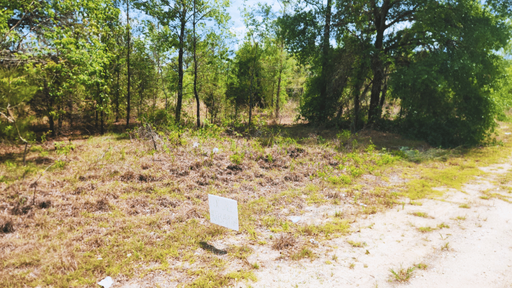 Build on the Vacant FL Lot