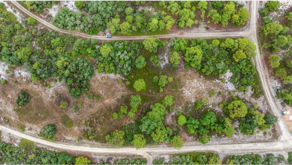 0.23 Acre Florida Lot for Sale in a quiet residential setting, the property provides a balance of privacy and neighborhood appeal while remaining within driving distance of everyday conveniences, local lakes, outdoor recreation, and regional cities