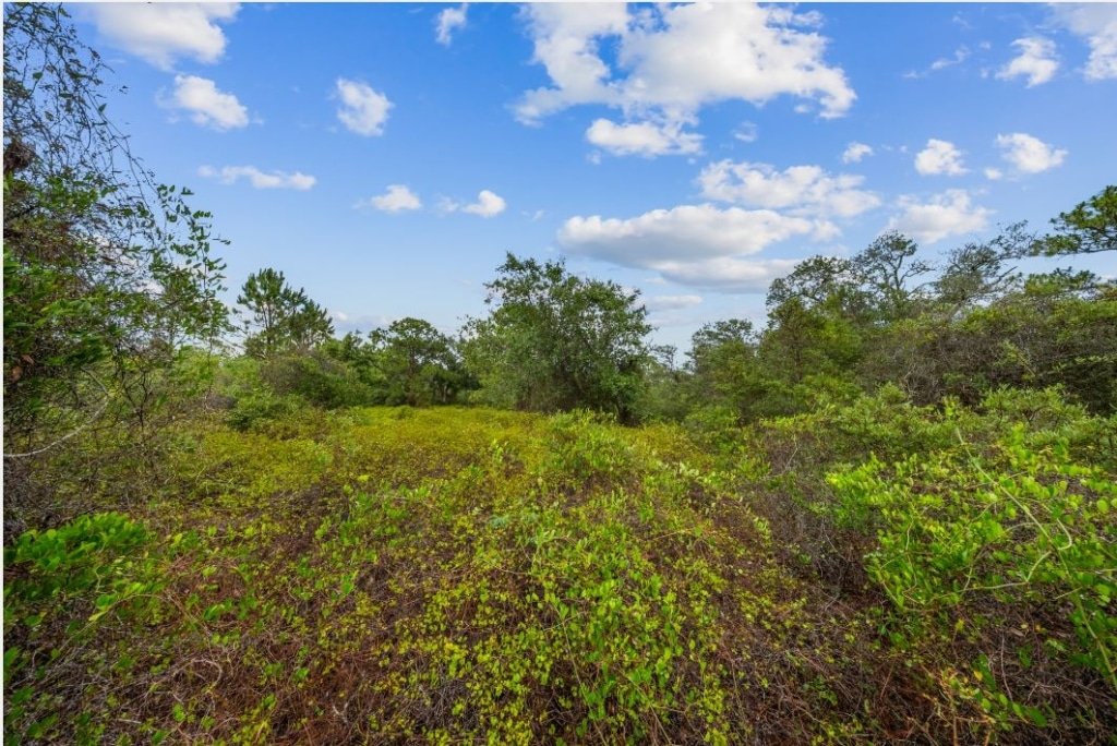 Buildable Florida lot in Highlands County, road access, RV camping allowed - photo 5