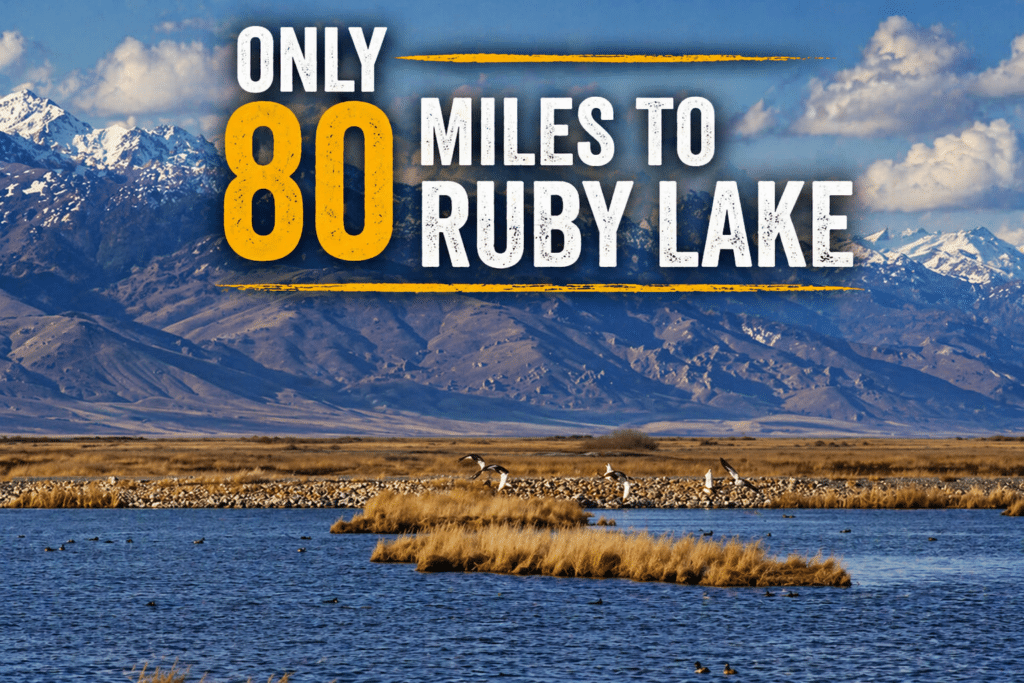 Affordable owner-financed acreage in Elko, Nevada - 60 month term