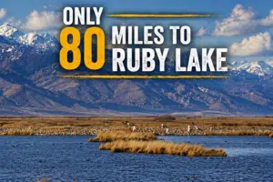 Affordable owner-financed acreage in Elko, Nevada - 60 month term