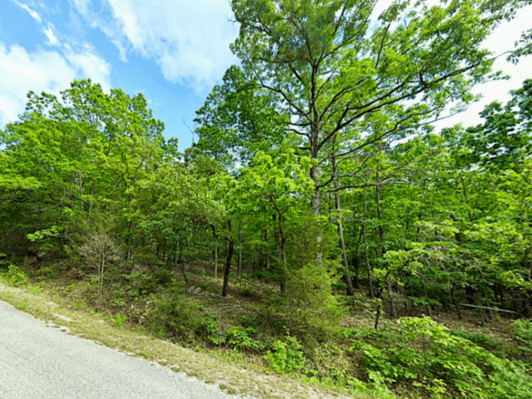2 Adjoining Lots in Horseshoe Bend