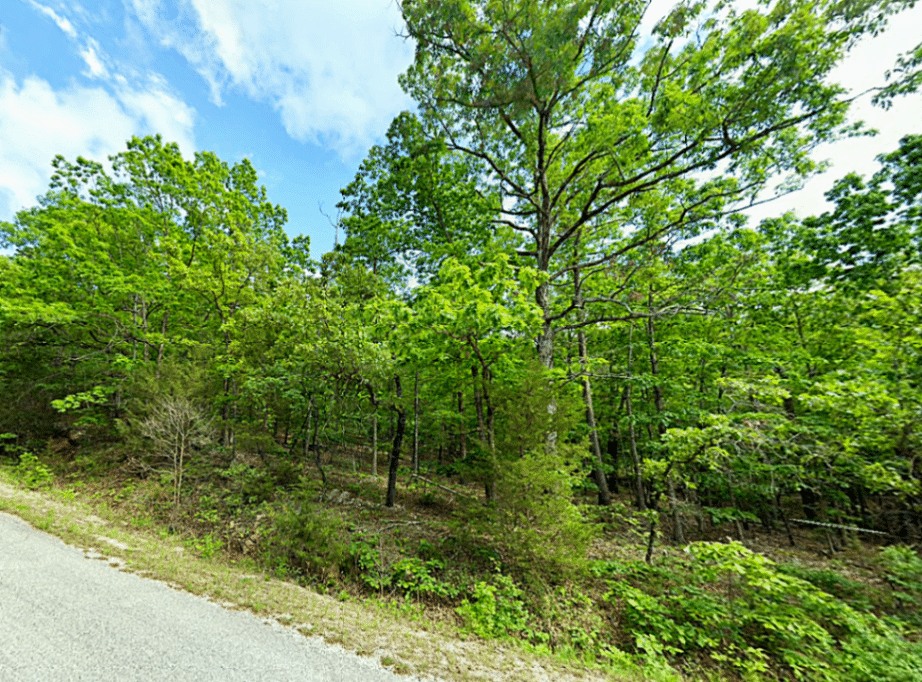 2 Adjoining Lots Near Crown Lake for $400 Down