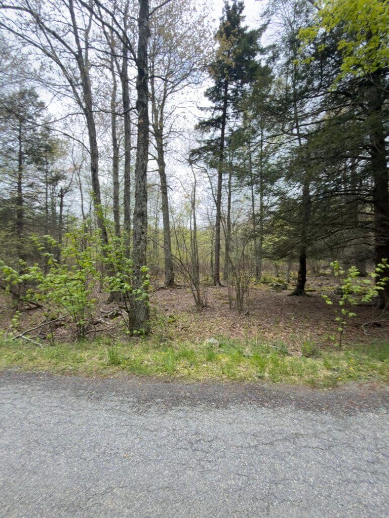 Half-acre open land with utilities available, Wayne County PA - photo 7