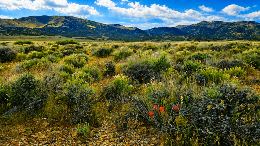 Owner-financed off-grid lot: Elko NV, $6,999 cash price, $139 down - photo 6