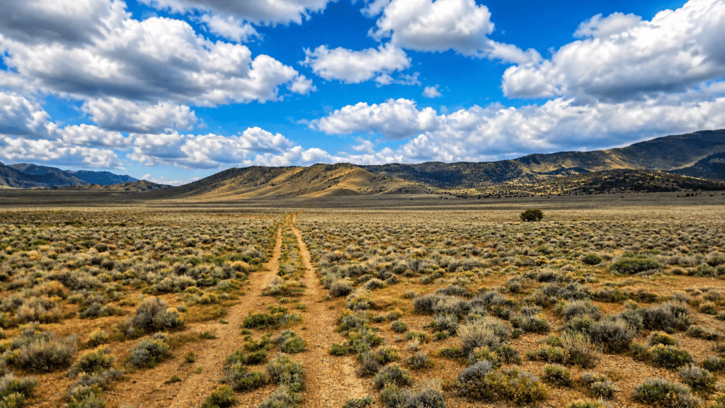 Flat terrain land parcel near Elko, Nevada allowing RV and mobile home living - photo 4