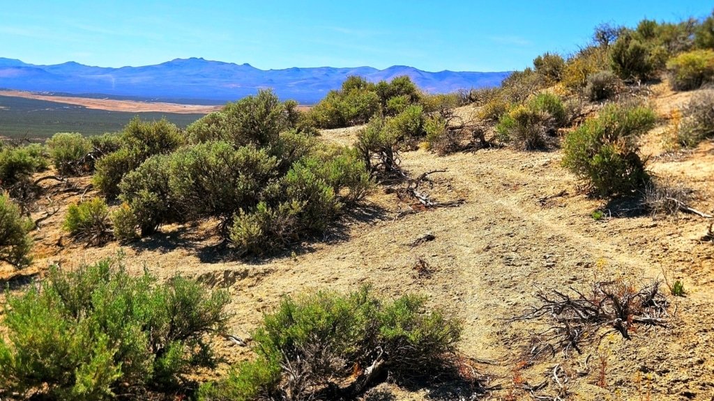 Owner-financed Nevada lot near I-80, $139 monthly payment - photo 2