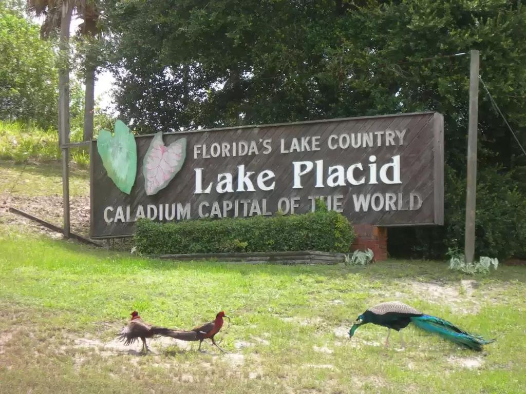 Own Land in Florida — 0.23 acre lot for Sale in South Central Florida without bank headaches | Only $349/Month