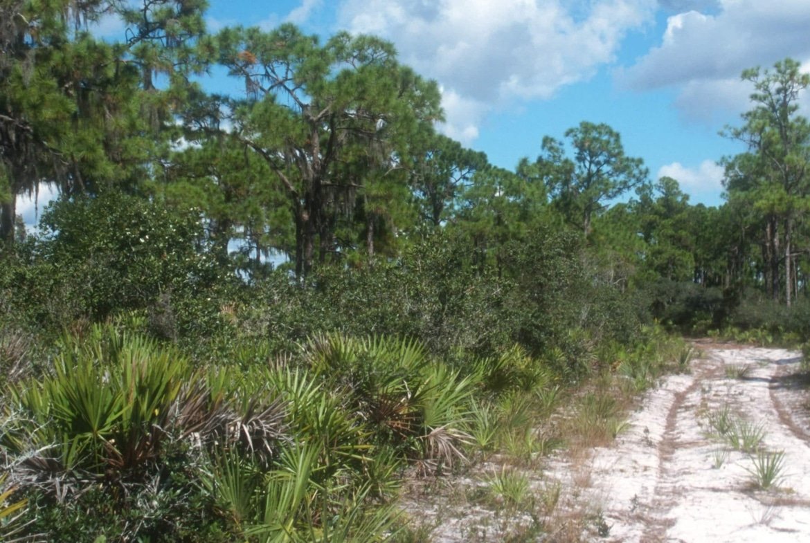 Own Land in Florida — 0.23 acre lot for Sale in South Central Florida without bank headaches | Only $349/Month