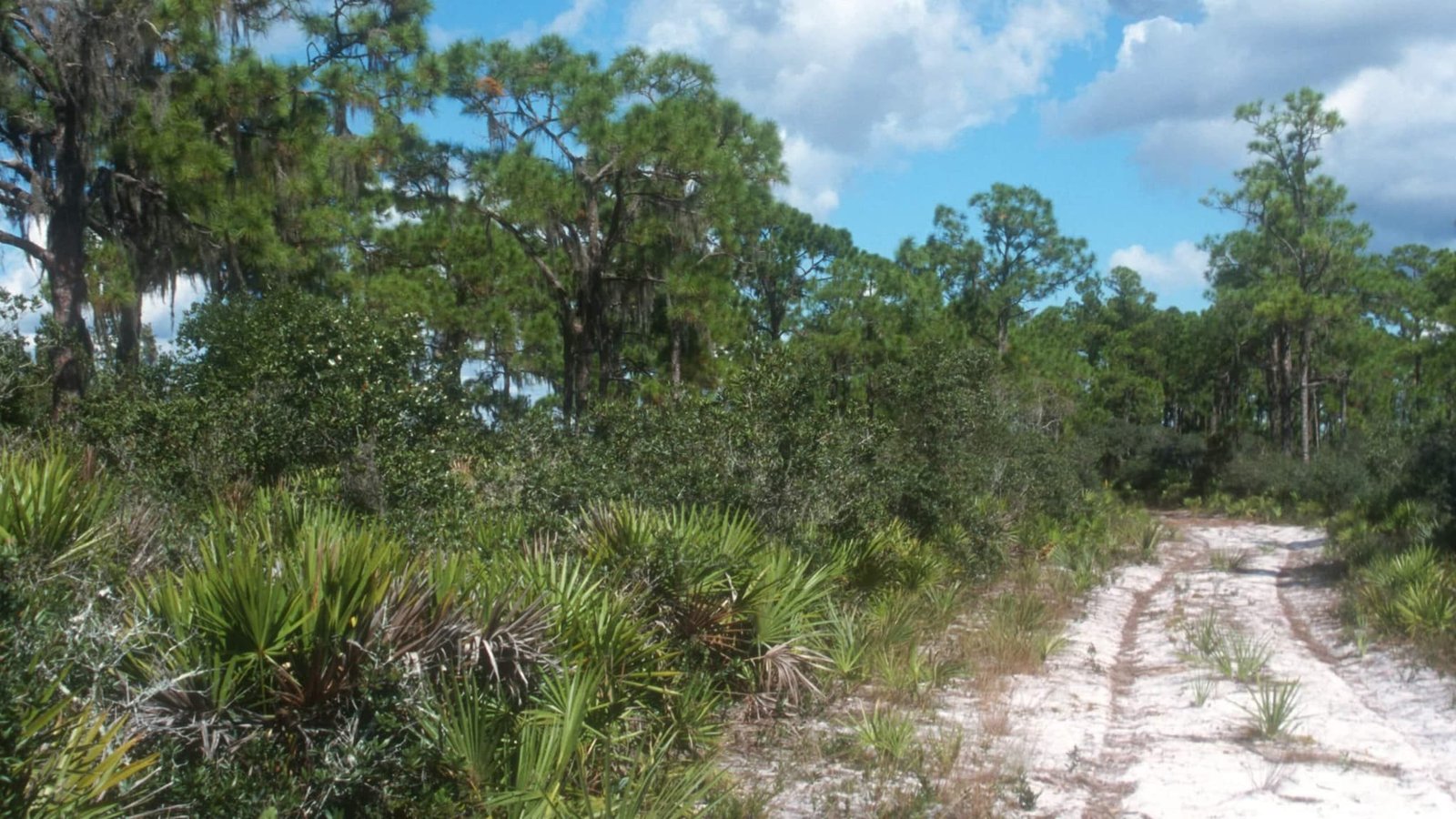 Own Land in Florida — 0.23 acre lot for Sale in South Central Florida without bank headaches | Only $349/Month