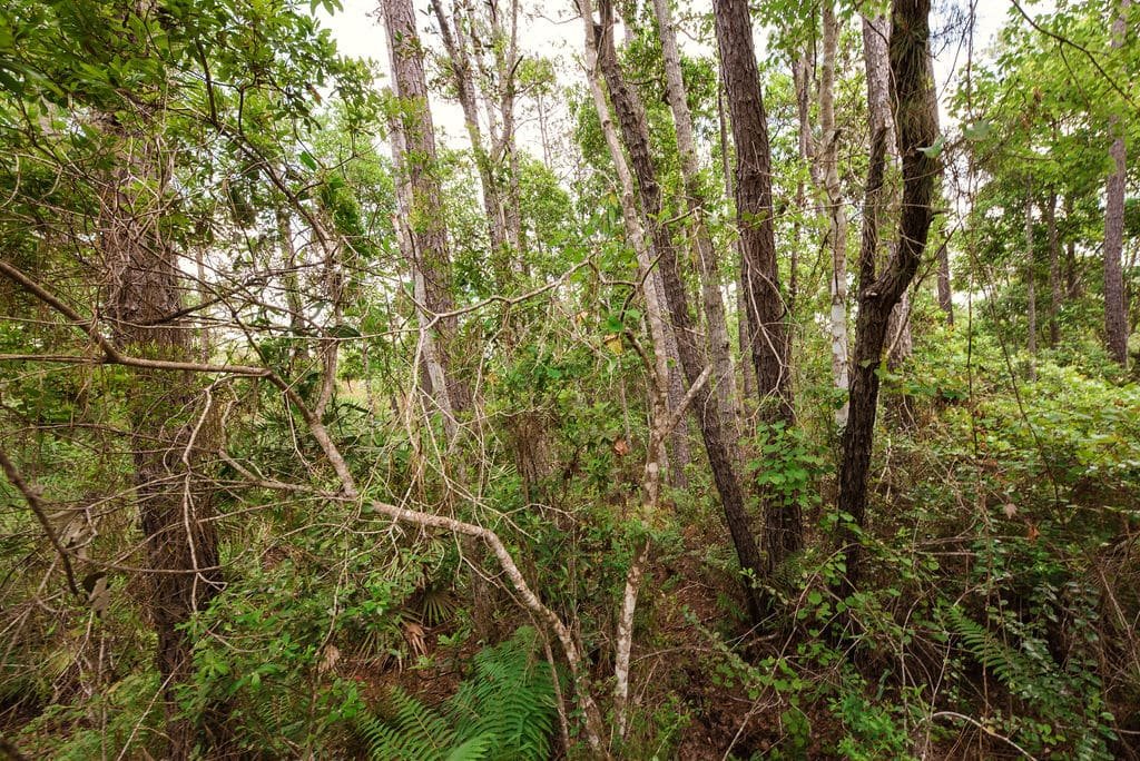Buy Land without Breaking the Bank