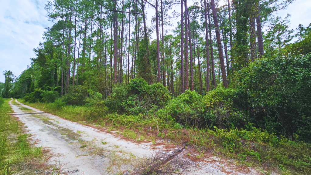 Residential lot in Florida available for $200 down, $199 monthly - photo 2
