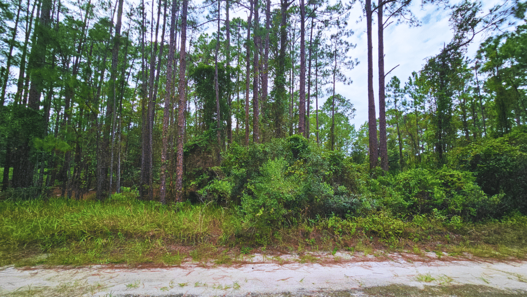 Own Land in Florida for Just $200 Down Low HOA, Near Water!