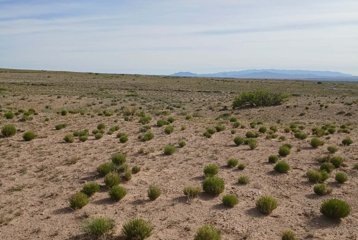 1 Full Acre of New Mexico Land for Sale | This Is What Freedom Looks Like