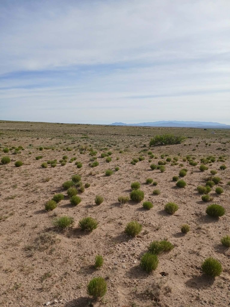 1-acre buildable land for sale in Socorro County, New Mexico - photo 1