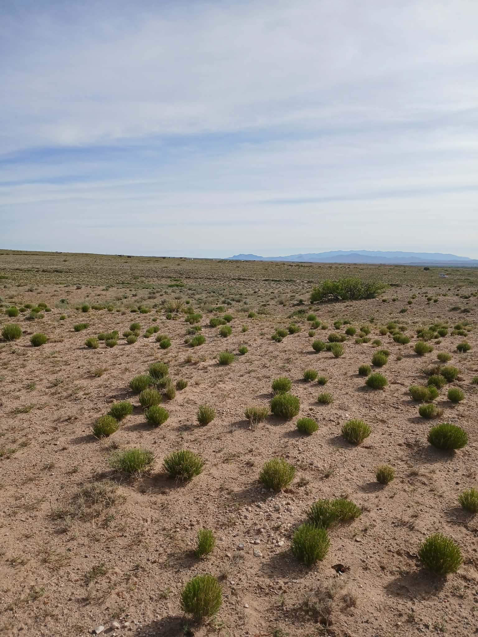 1 Full Acre of New Mexico Land for Sale | This Is What Freedom Looks Like
