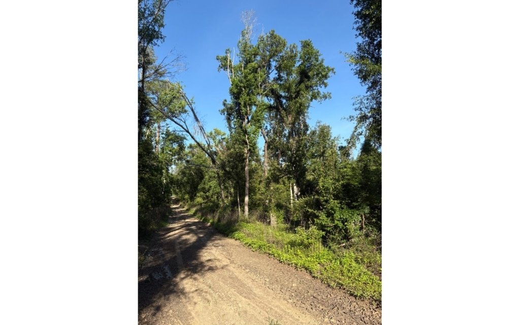 RV and mobile home allowed lot, Suwannee County Florida - $100 down - photo 4