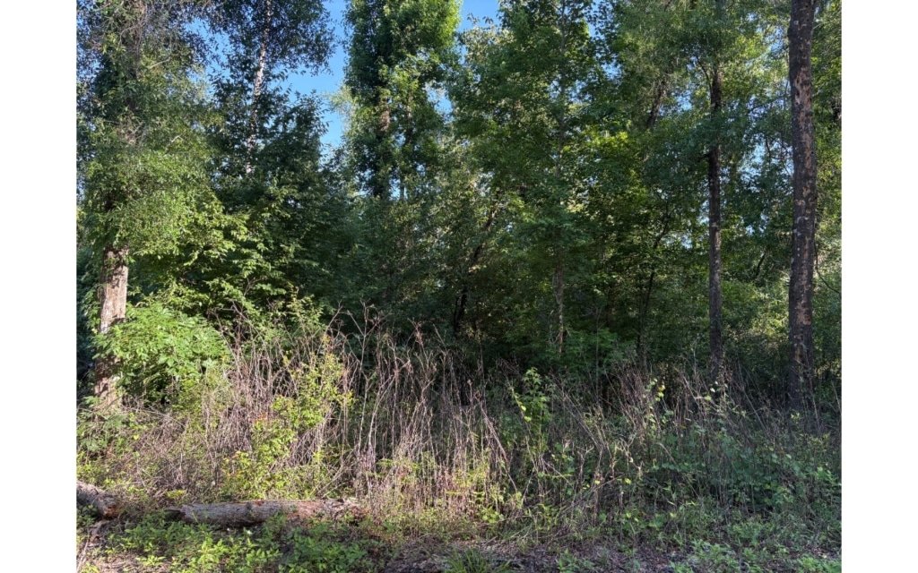 0.23 acre buildable land lot in Suwannee County, Florida near Live Oak - listing photo 1